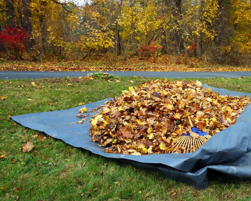 Autumn Leaf Removal in Ventura County, CA