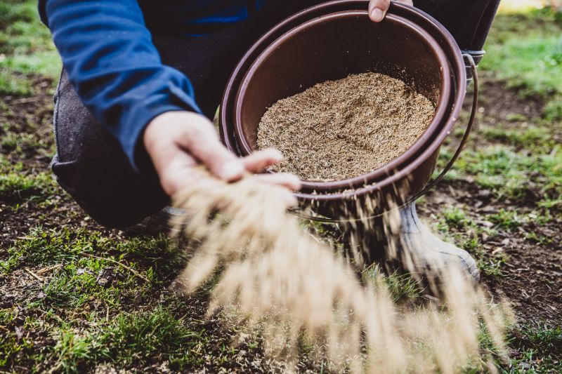 Commercial Lawn Seeding in Honolulu, HI