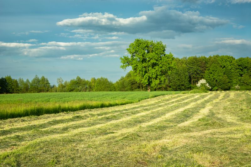 Field Mowing in Calvert County, MD