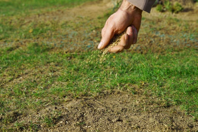 Grass Seeding Service in Ventura County, CA