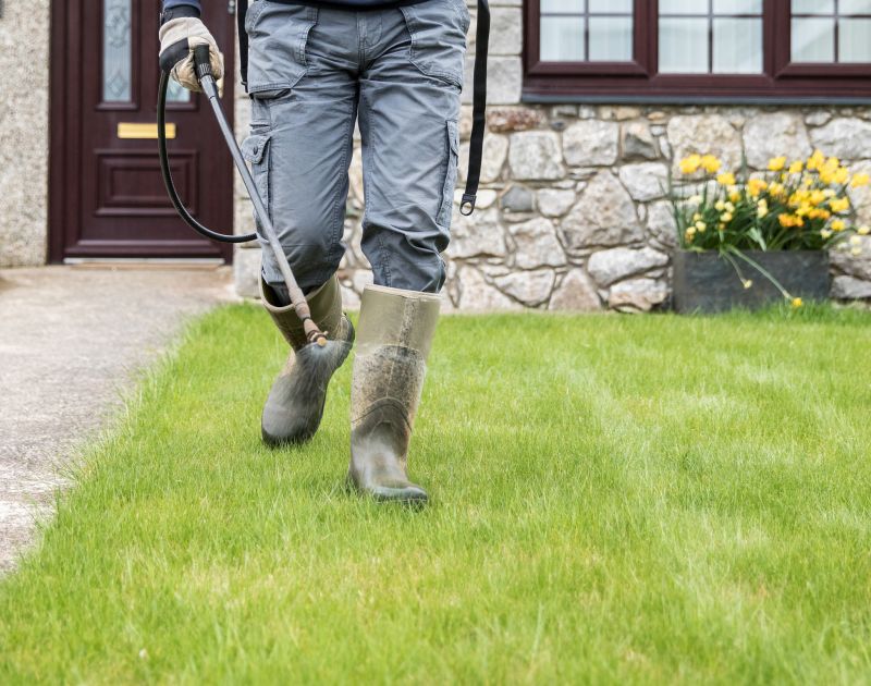 Lawn Disease Treatment in Honolulu, HI