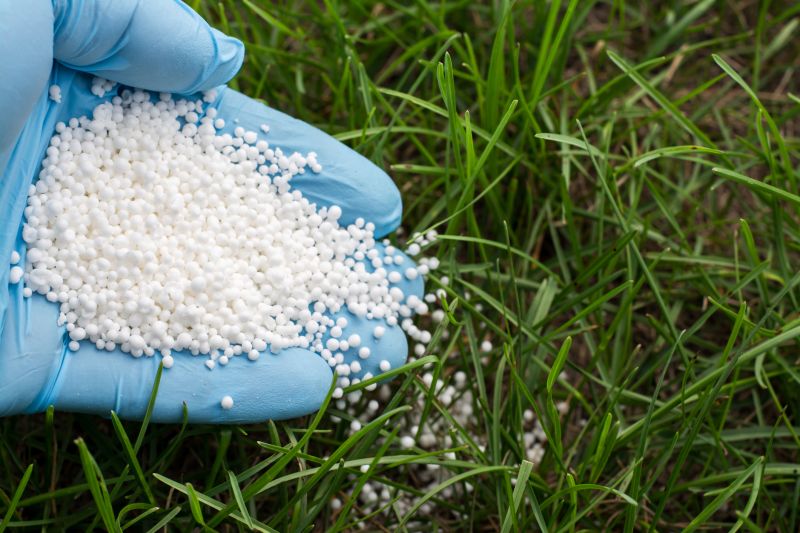 Lawn Fertilizing Service in Ventura County, CA