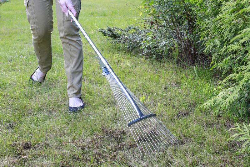 Lawn Moss Control in Ventura County, CA