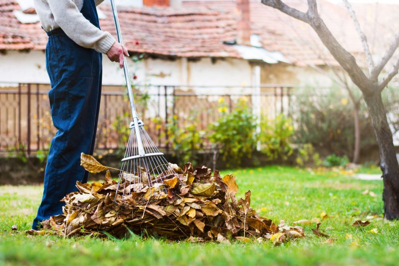 Leaves Mowing in Bowie, MD
