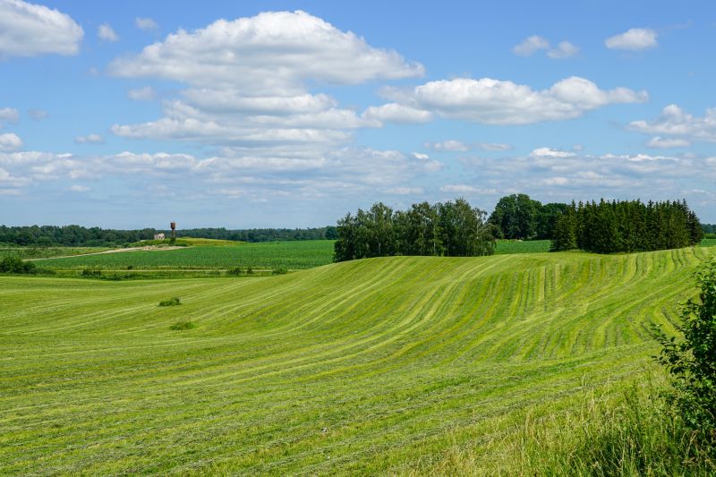 Pasture Mowing in Calvert County, MD
