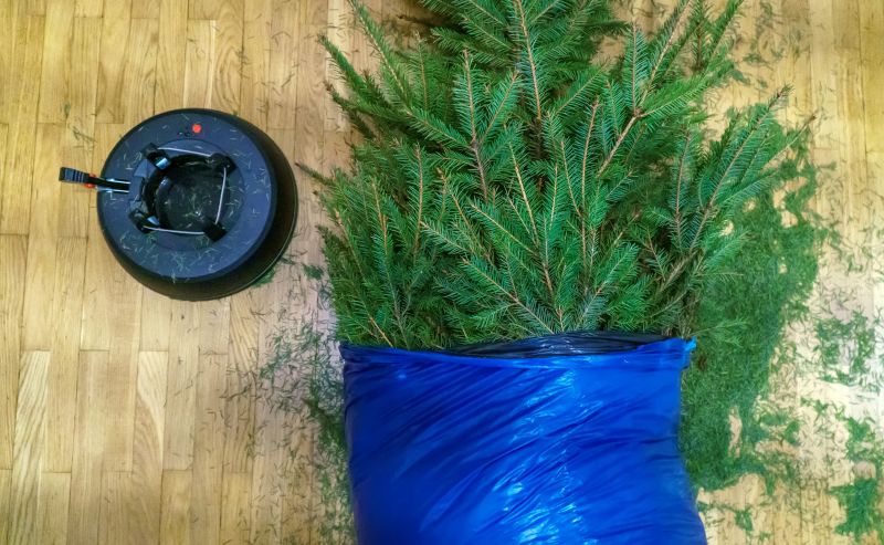 Pine Needles Removal in Ventura County, CA