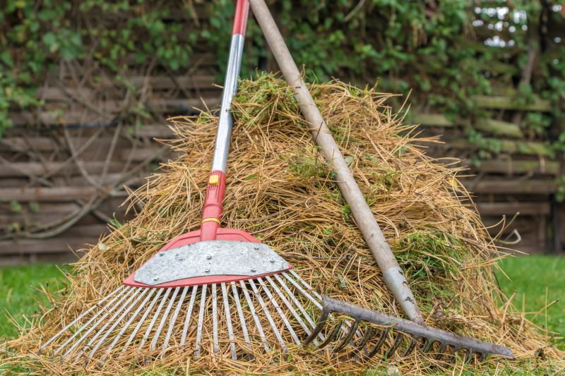 Pine Straw Raking in Ventura County, CA