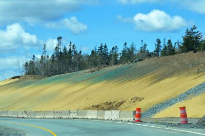 Slope Seeding in Honolulu, HI
