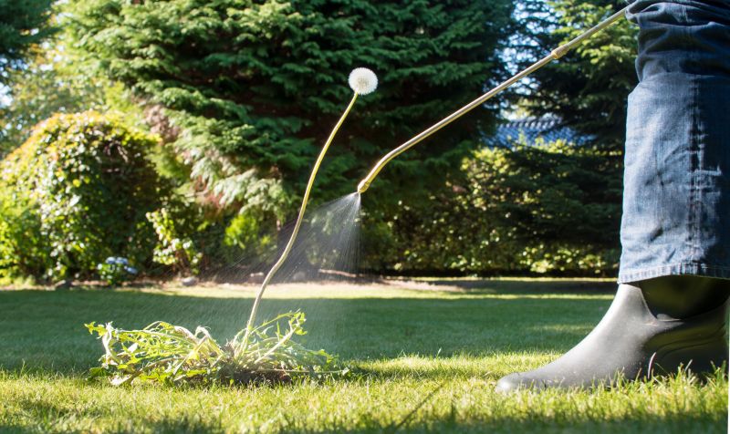 Slope Weed Control in Rockwall, TX