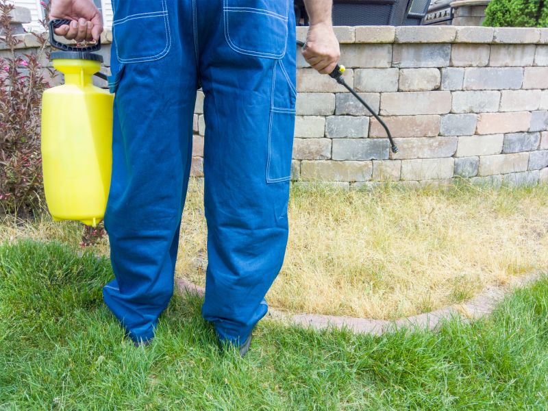 Spring Lawn Treatment in Ventura County, CA