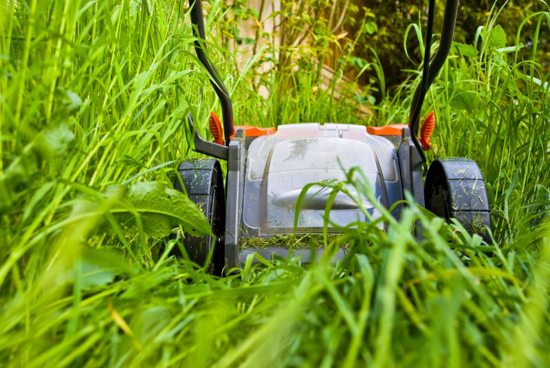 Tall Grass Mowing in Bowie, MD