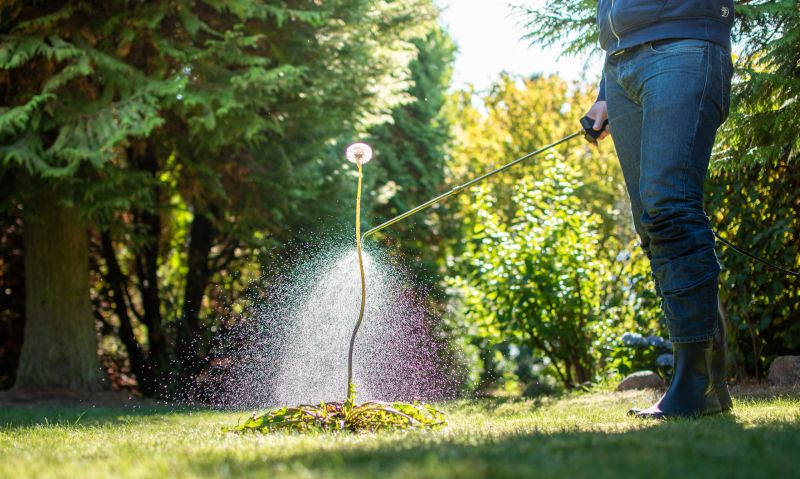 Thistle Control in Honolulu, HI