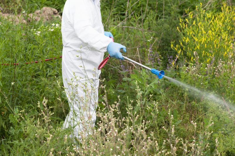 Weed Prevention Service in Honolulu, HI