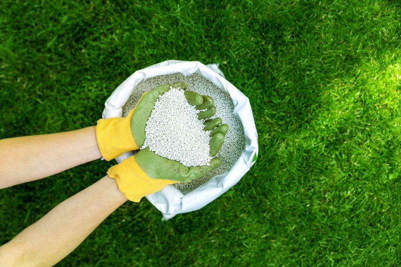 Yard Fertilization in Honolulu, HI
