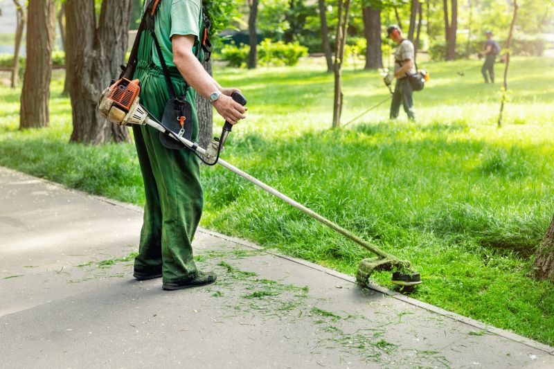 Lawn Mowing And Trimming Service
