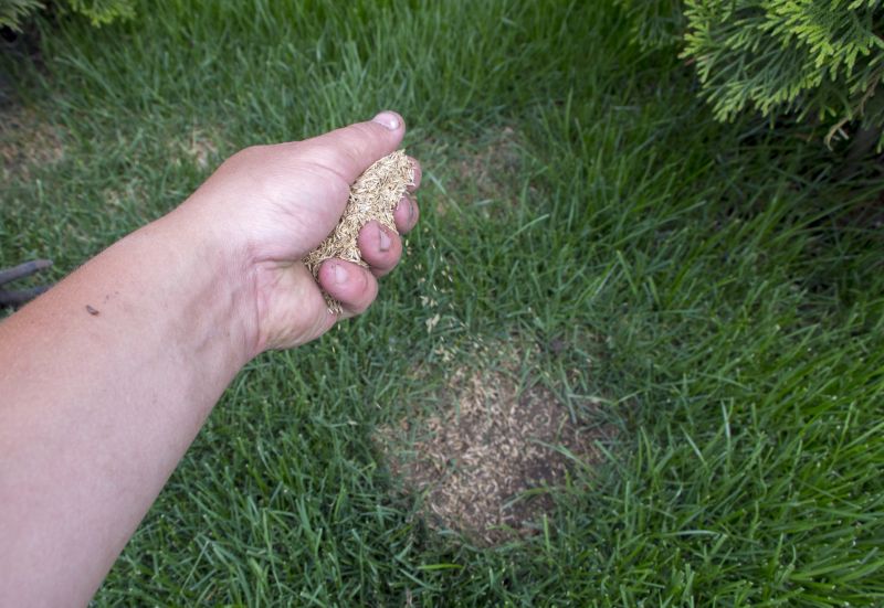 Bermuda Grass Seeding in Honolulu, HI