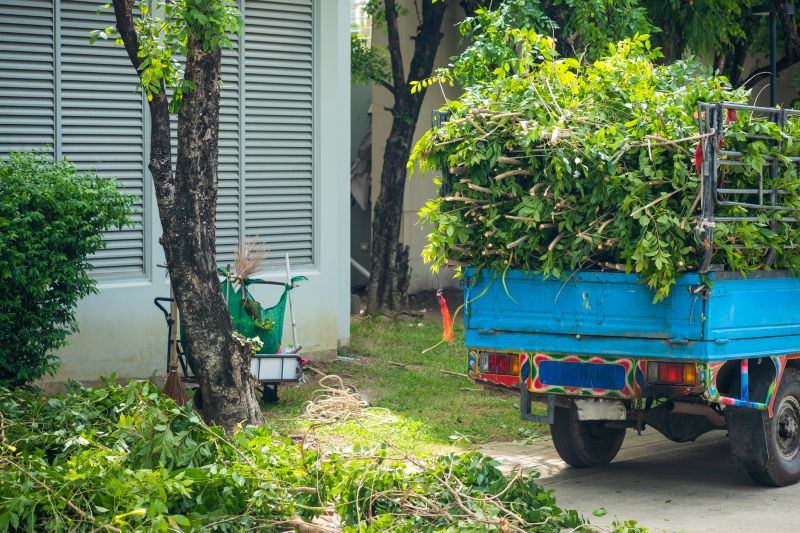 Brush Cleanup Service in Honolulu, HI