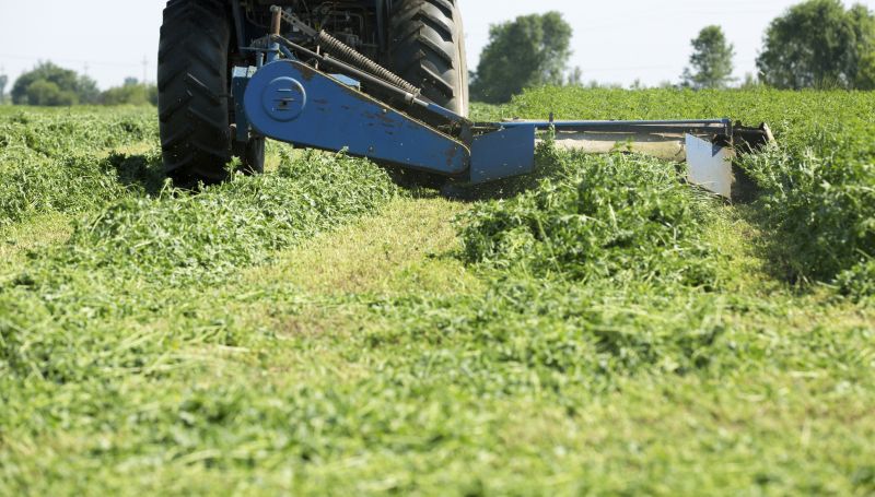 Brush Mowing Service in Waldorf, MD