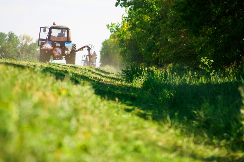 Brush Mowing Service in Calvert County, MD