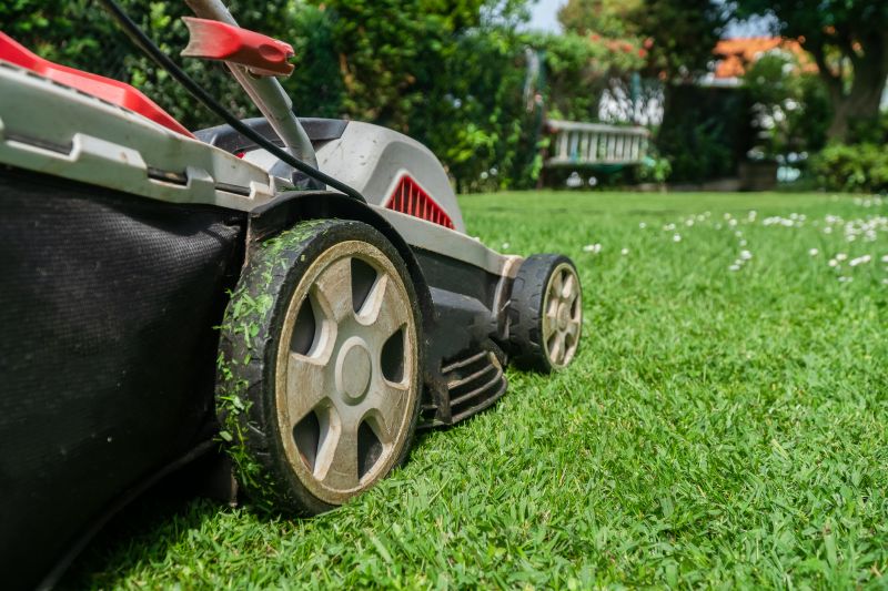 Brush Mowing Service in Calvert County, MD