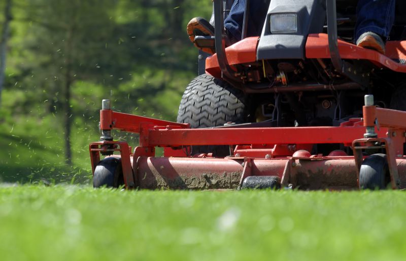 Brush Mowing Service in Duluth, MN