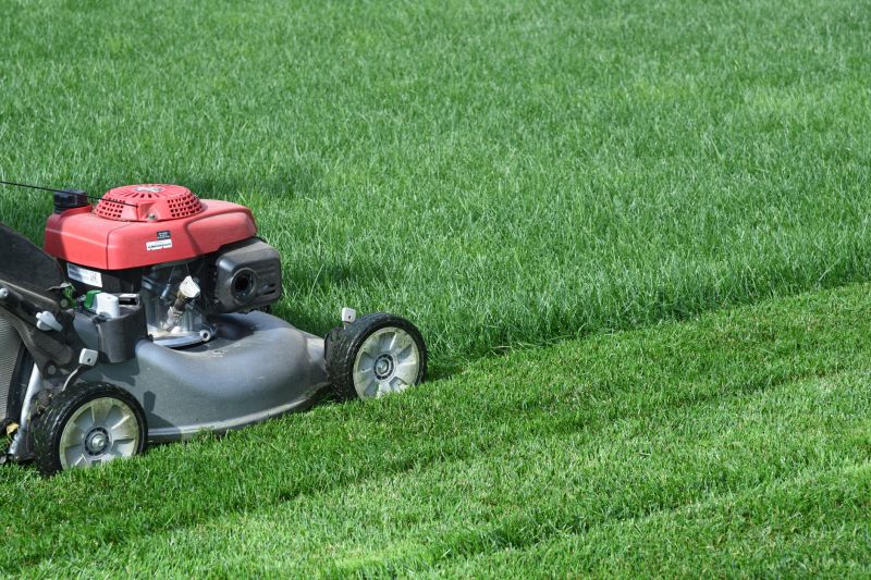 Brush Mowing Service in Prince Georges County, MD