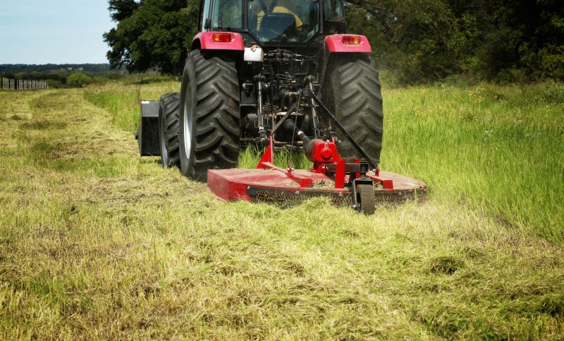 Brush Mowing Service in Prince Georges County, MD