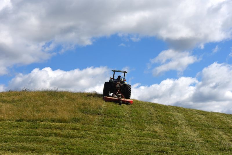 Bush Hog Mowing in Waldorf, MD
