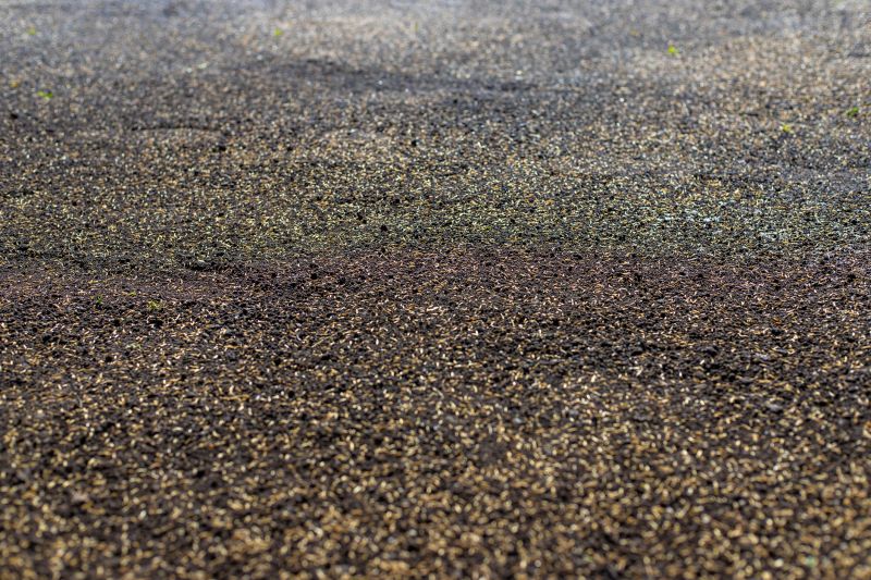 Commercial Grass Seeding in Honolulu, HI