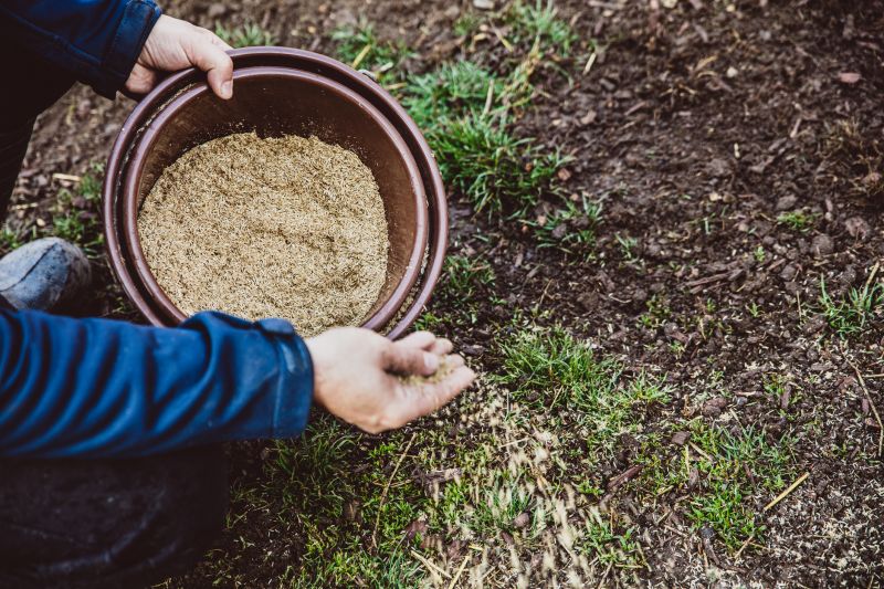 Commercial Lawn Seeding in Honolulu, HI
