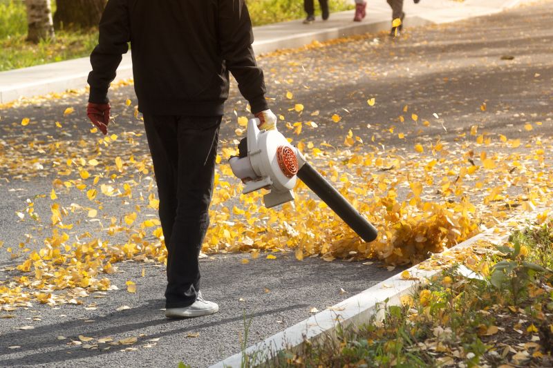 Commercial Leaf Removal in Honolulu, HI