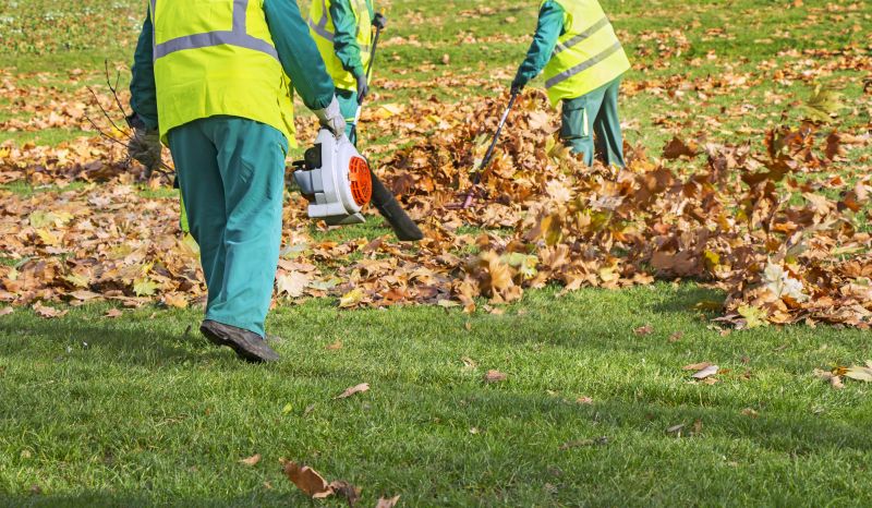 Commercial Leaf Removal in Honolulu, HI