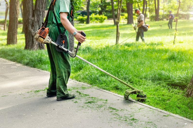 Lawn Mowing And Trimming Service