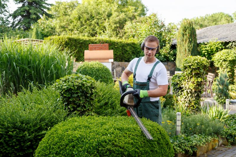 Lawn Mowing And Trimming Service