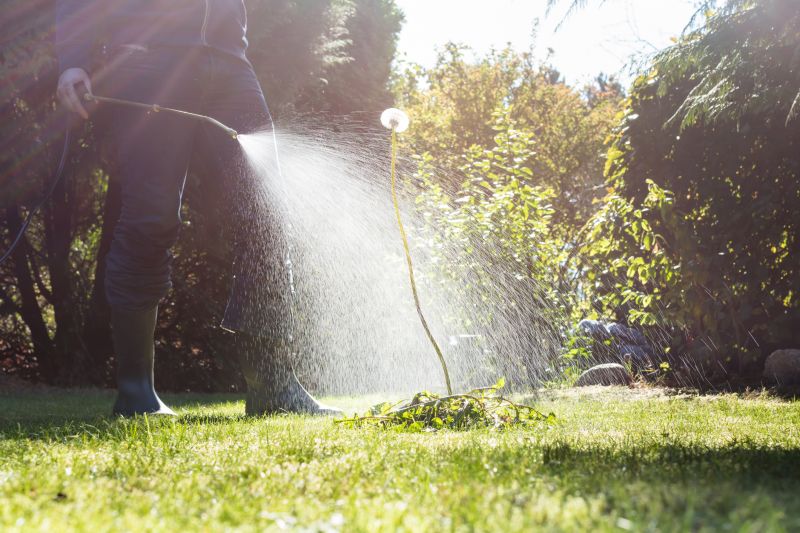 Crabgrass Prevention in Rockwall, TX