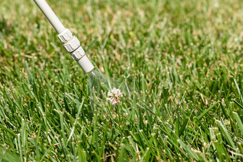 Crabgrass Prevention in Aiken, SC