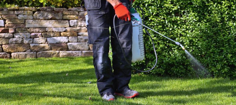 Crabgrass Removal in Rockwall, TX