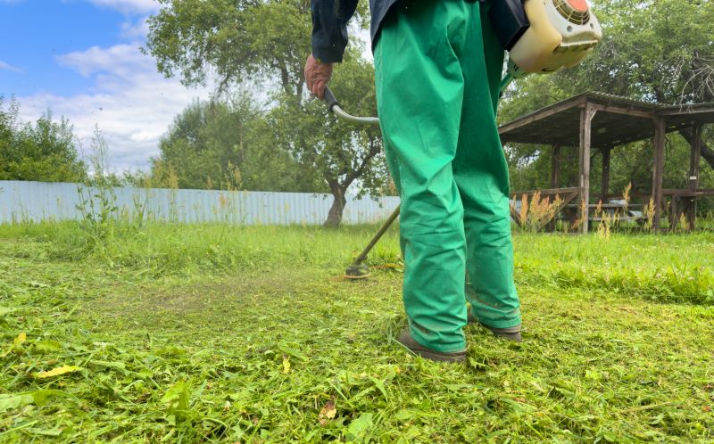 Crabgrass Removal in Rockwall, TX