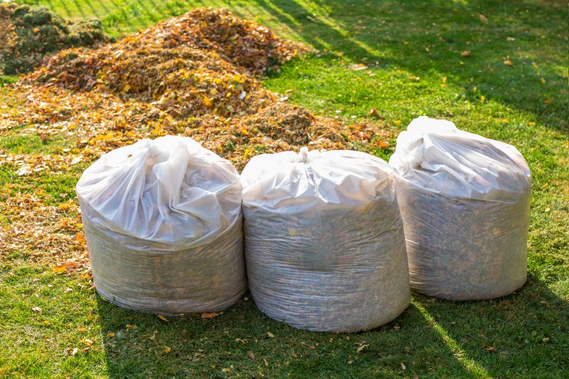 Fall Lawn Cleanup Service in Ventura County, CA