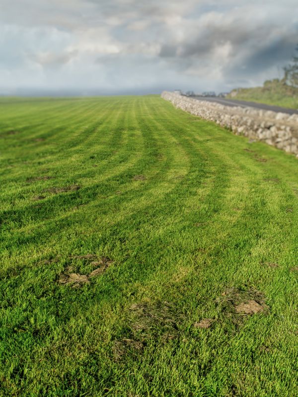 Field Mowing in Calvert County, MD