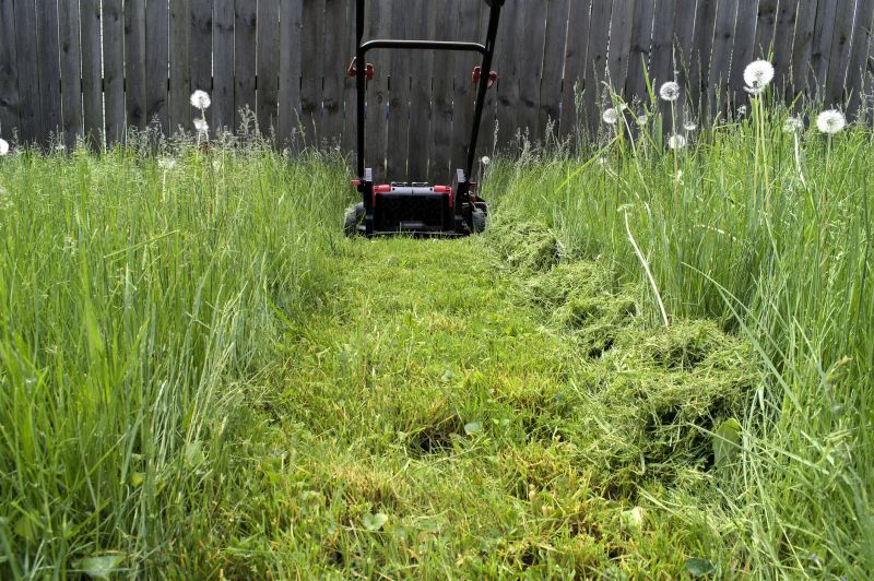 Field Mowing in Calvert County, MD