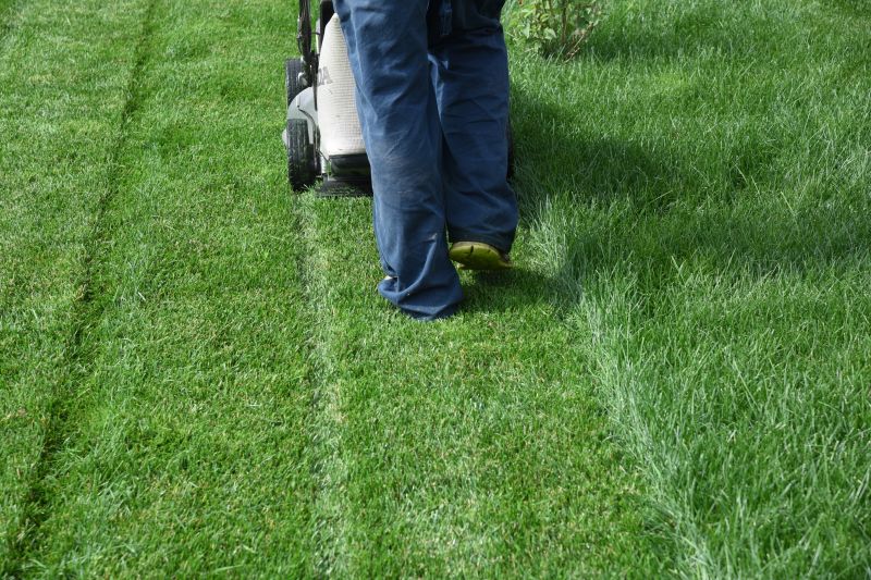 Lawn Mowing And Trimming Service detail