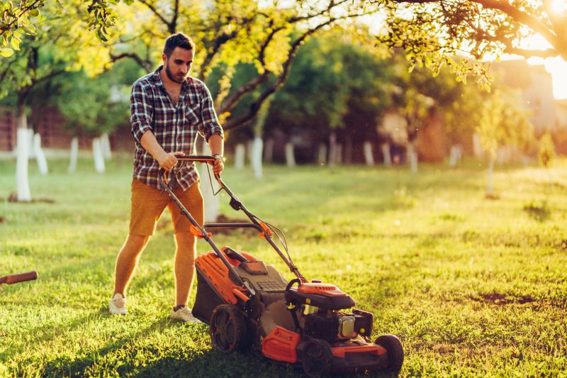 Lawn Mowing And Trimming Service detail