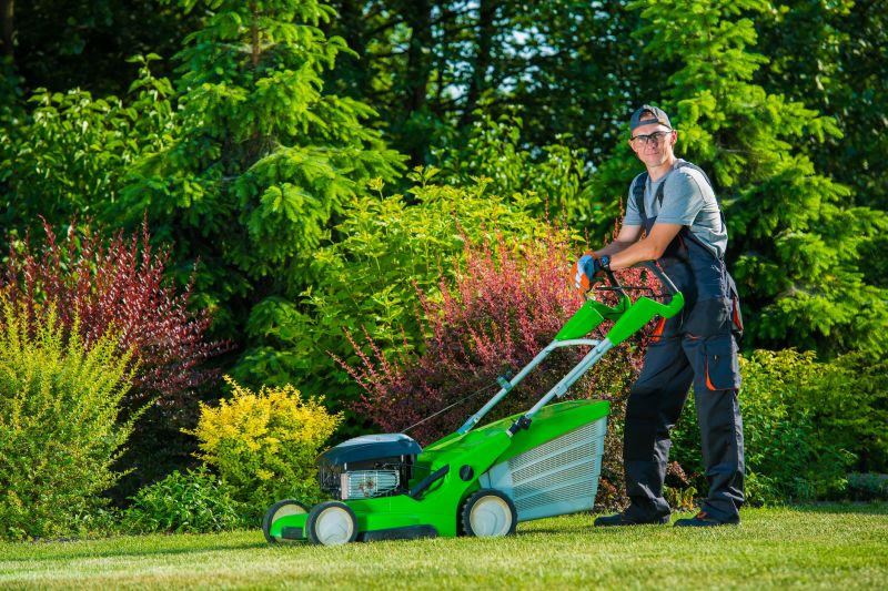 Lawn Mowing And Trimming Service detail