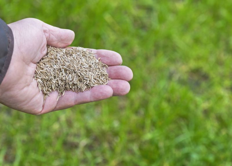 Grass Seeding Service in Honolulu, HI