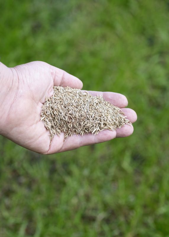 Grass Seeding Service in Honolulu, HI