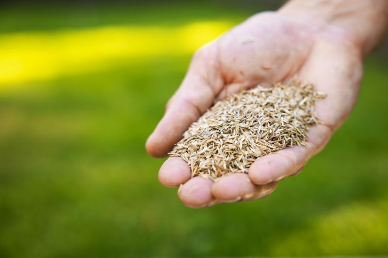Grass Seeding Service in Honolulu, HI