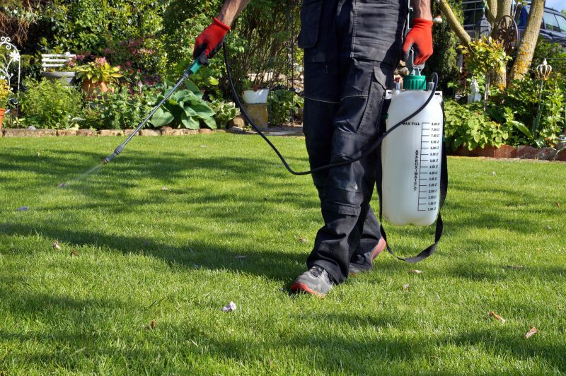 Grass Treatment in Honolulu, HI