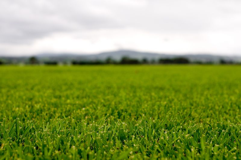 Landscape Fertilizing Service in Honolulu, HI