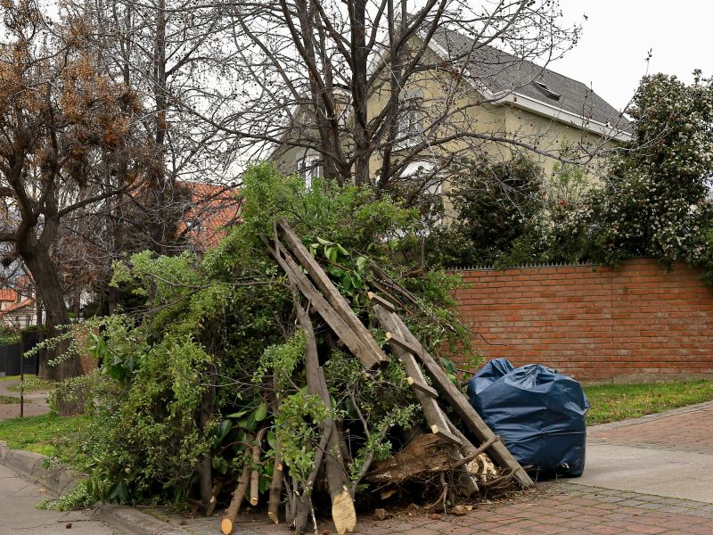 Lawn Debris Cleanup in Honolulu, HI